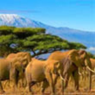 Image pour Kenya Airways - Vols à partir de la France