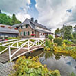 Image pour Booking.com - Hôtel Willingen