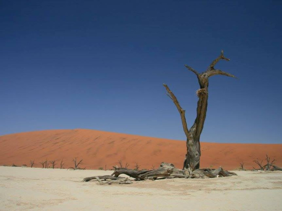 Désert de Namibie Désert de Namibie