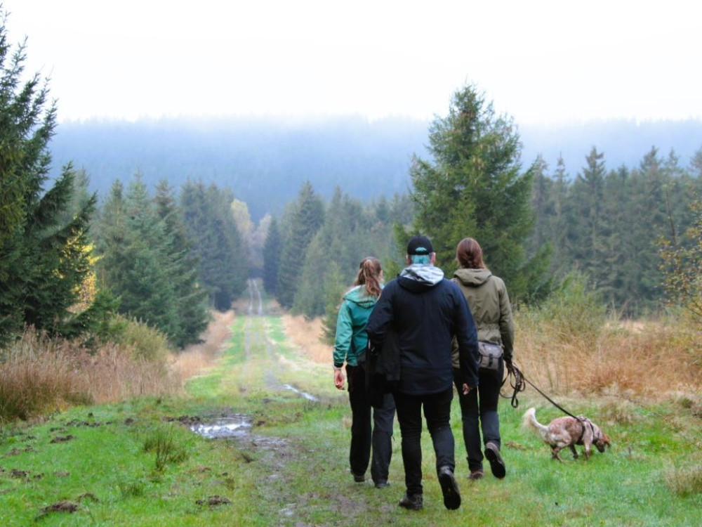 Promenade en Ardenne