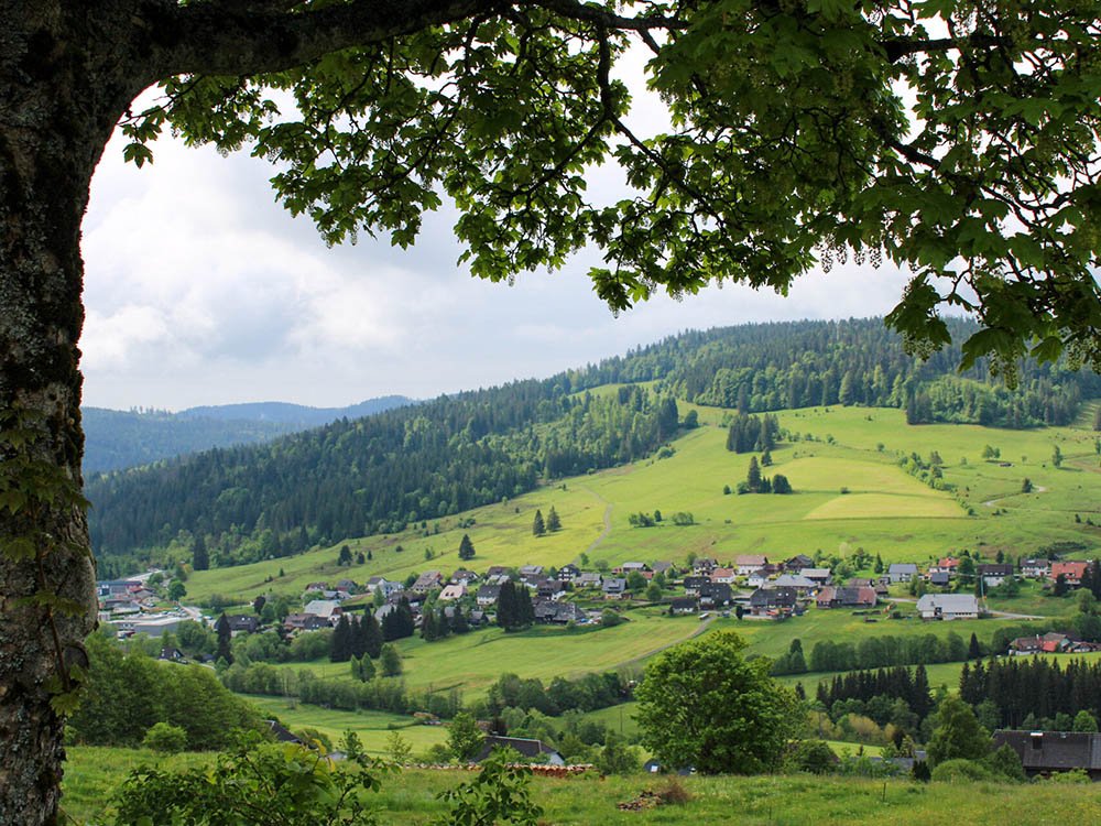Les collines