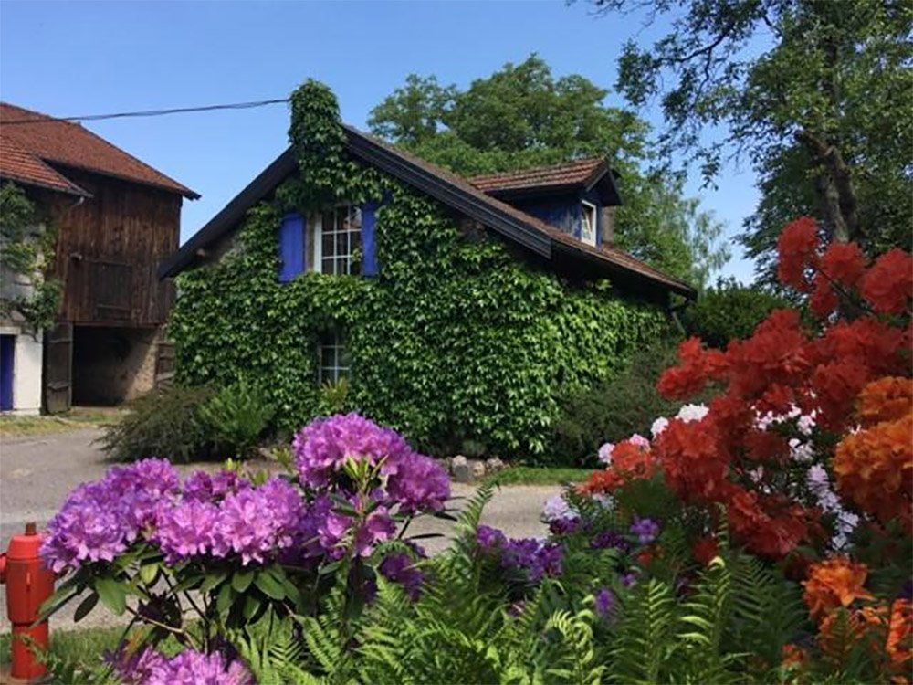 Gîte dans les Vosges