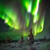 Image pour Aurores boréales en Laponie