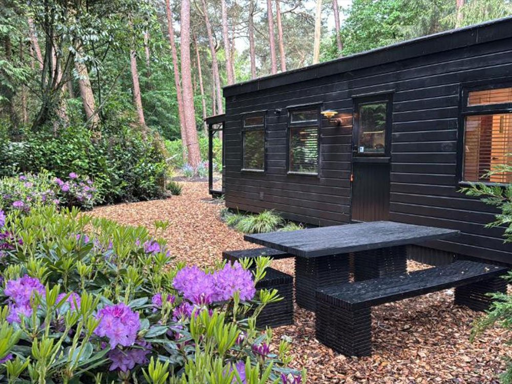 Maisonnette dans les bois, Pays-Bas