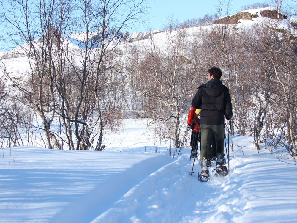 Actif aux Lofoten