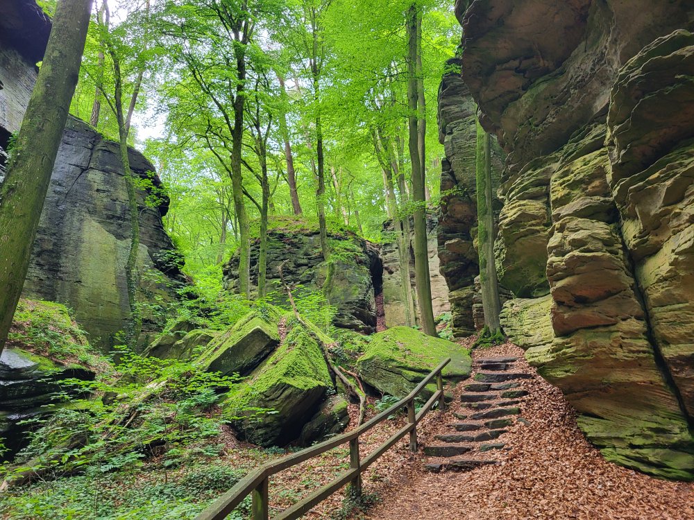 Mullerthal Trail route