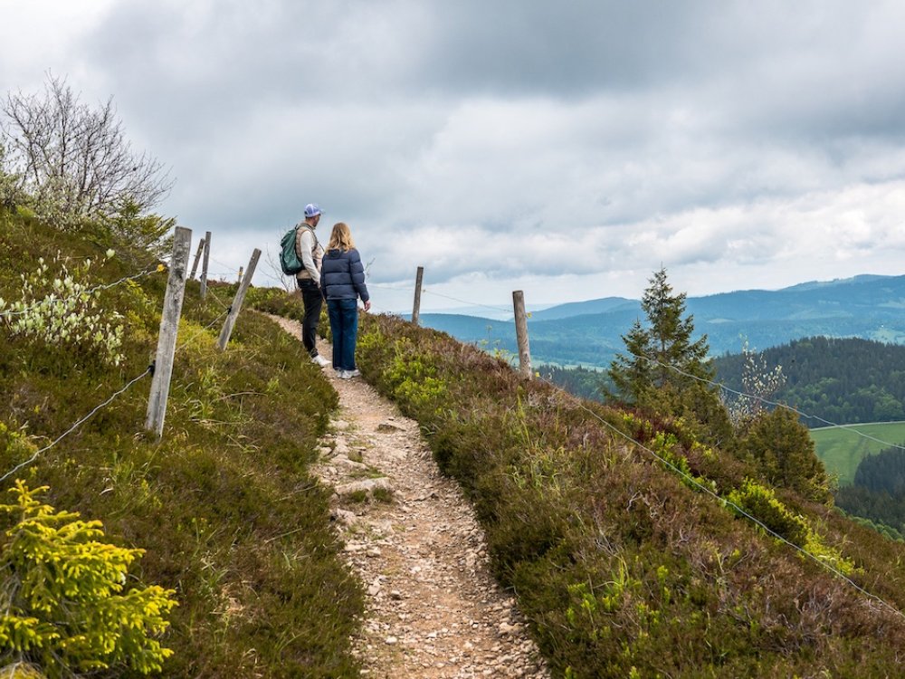 Trekking sur le Belchen