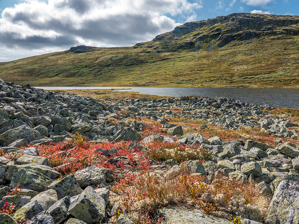 Automne à Rondane