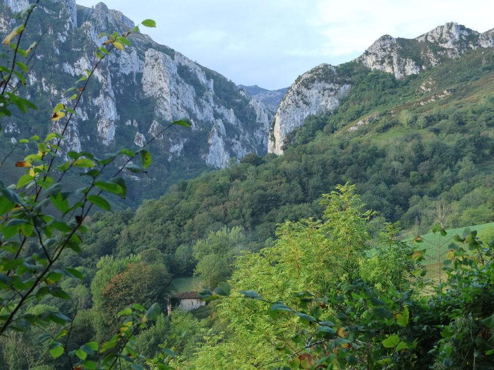 Nature magnifique, principauté des Asturies