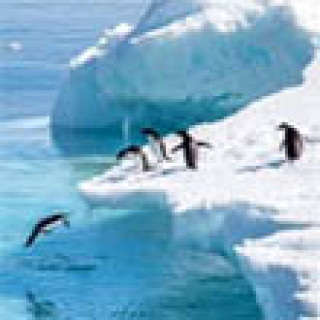 Image pour Nordic - Antarctique