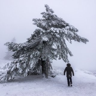 Image pour La nature autour de Winterberg