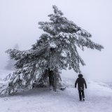 Image pour La nature autour de Winterberg