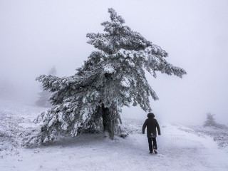Image pour La nature autour de Winterberg