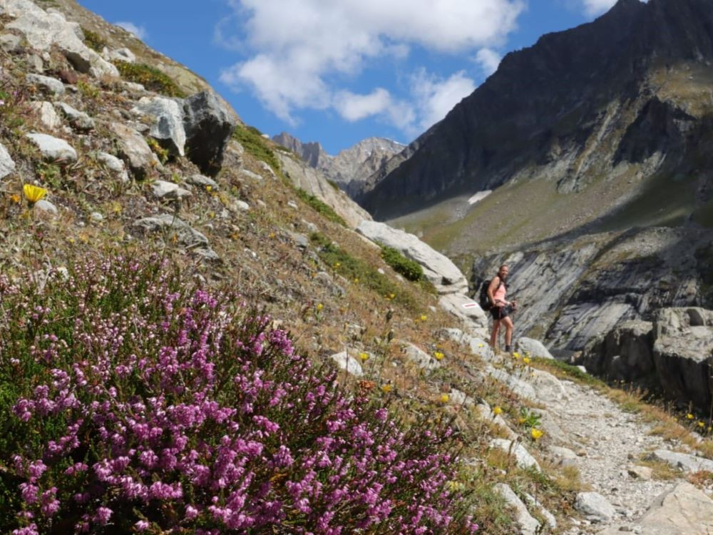 De beaux sentiers de montagne