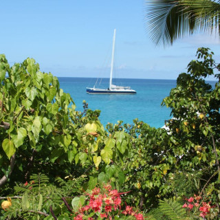 Image pour Saint-Martin