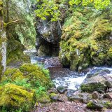 Image pour Les gorges de la Forêt-Noire