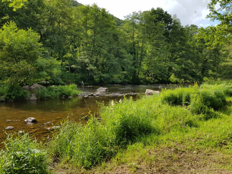 Nature dans les Ardennes Nature dans les Ardennes