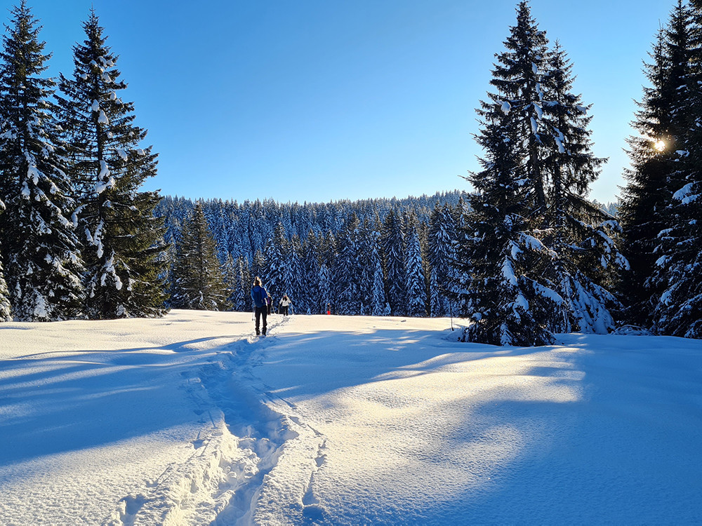 Les Gets en hiver