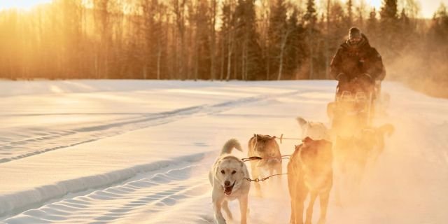 Image pour Nordic - Voyages avec guide francophone