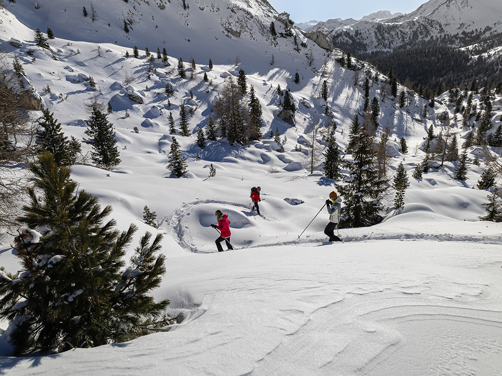 Randonnées en raquettes dans les Alpes