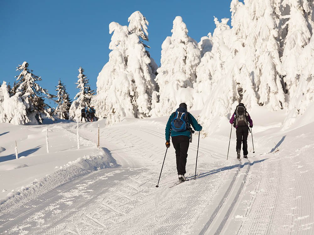 Large piste de ski de fond