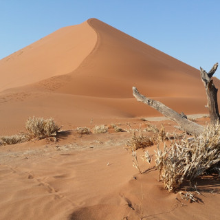 Image pour Sossusvlei