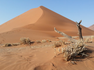 Image pour Sossusvlei