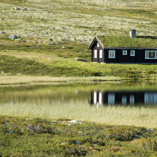 Image pour Nuits insolites en Norvège
