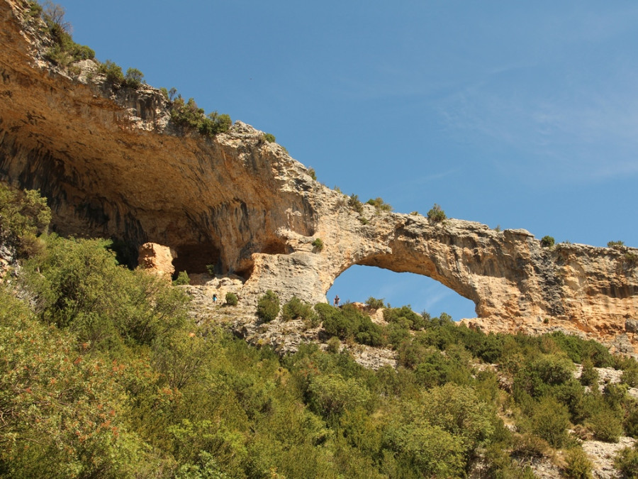 La nature à Rodellar