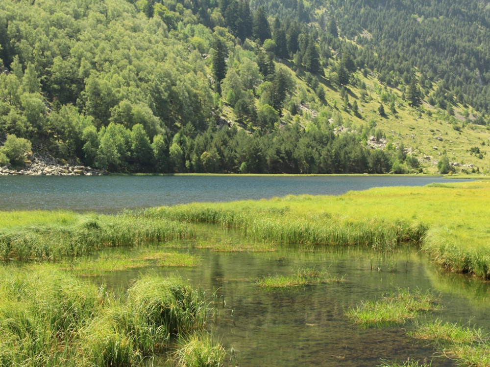 Une nature magnifique
