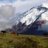 Image pour Les Andes