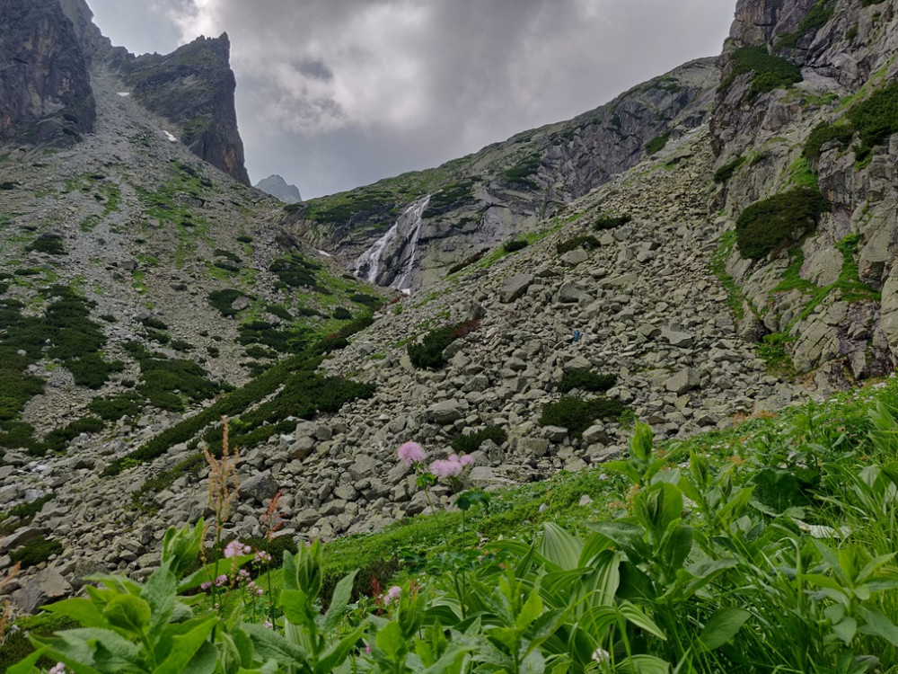 Nature dans les Tatras