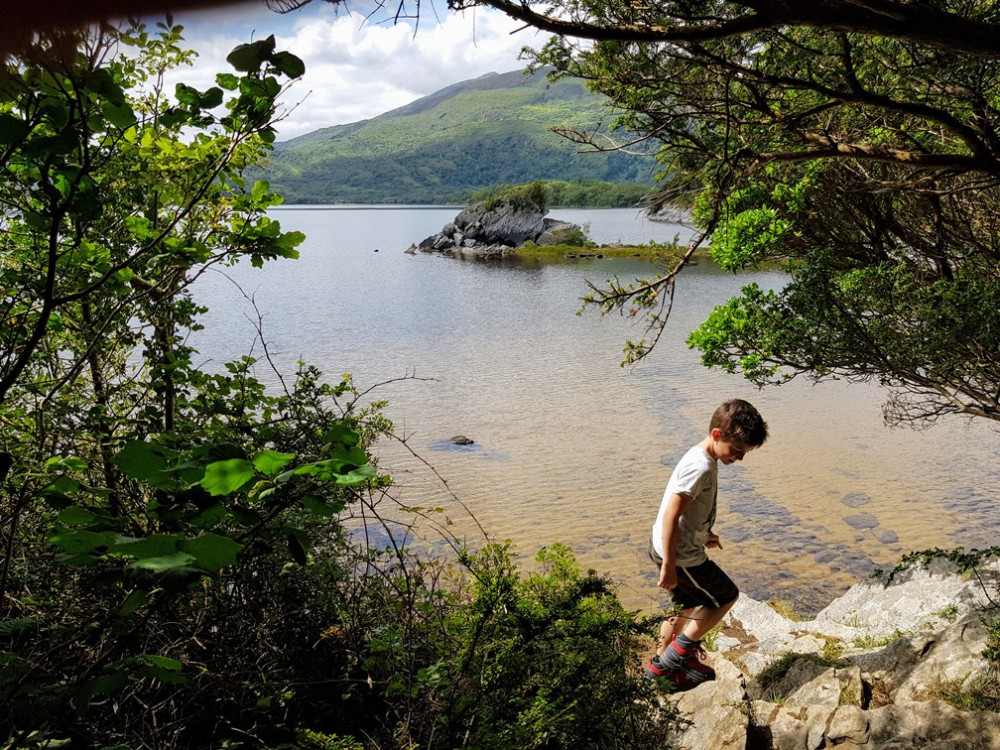 Nature à Killarney