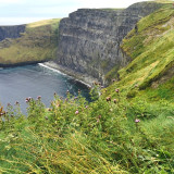 Image pour Irlande