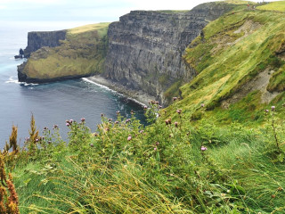 Image pour Irlande