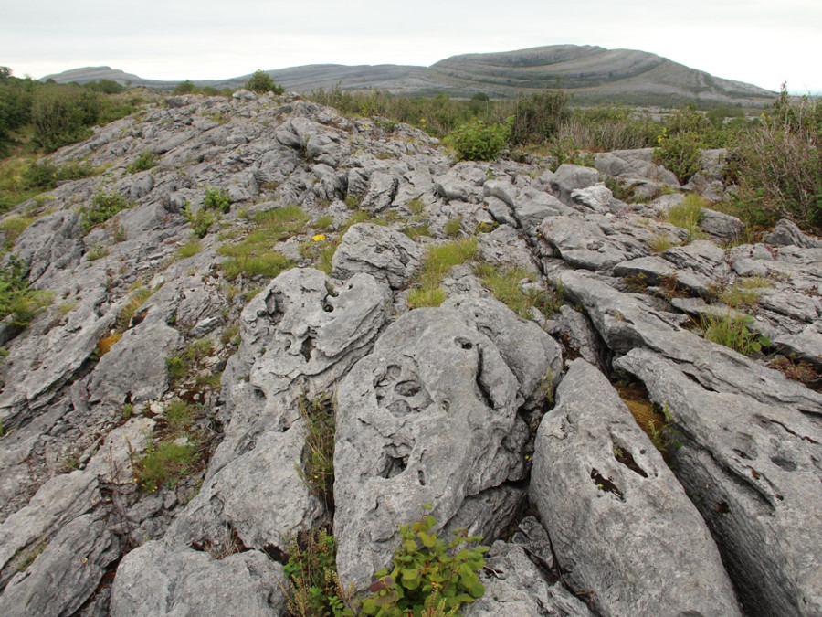 Le plateau rocheux du Burren Le plateau rocheux du Burren