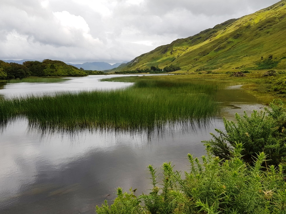 Belle nature irlandaise