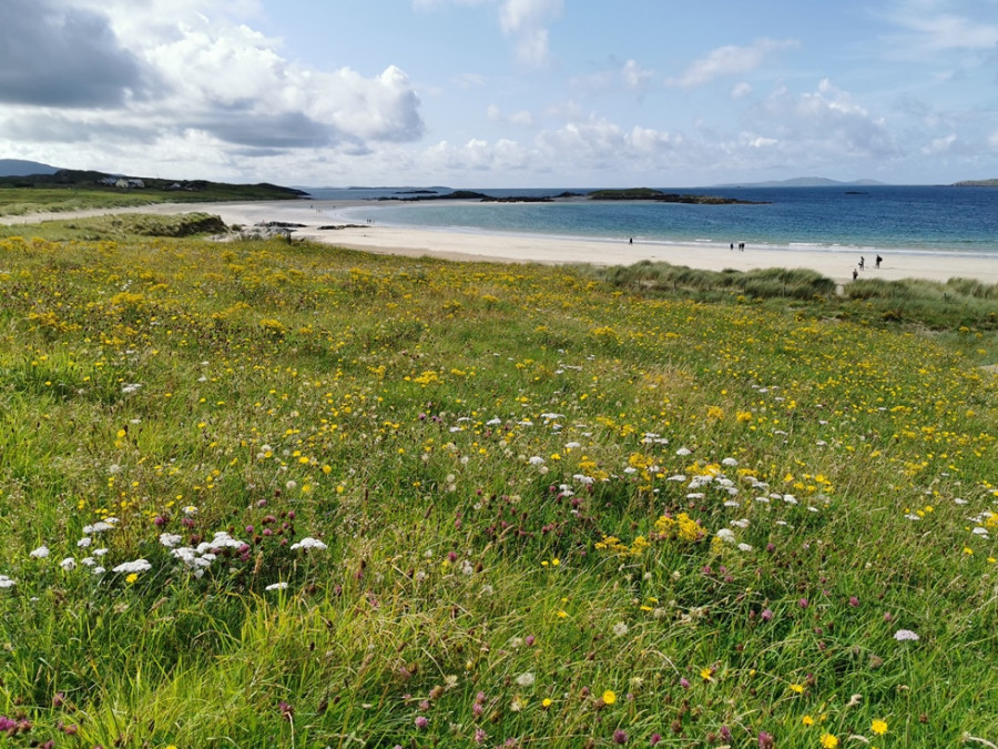 Plages de la côte ouest de l'Irlande Plages de la côte ouest de l'Irlande