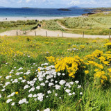Image pour Faire du vélo sur la Wild Atlantic Way