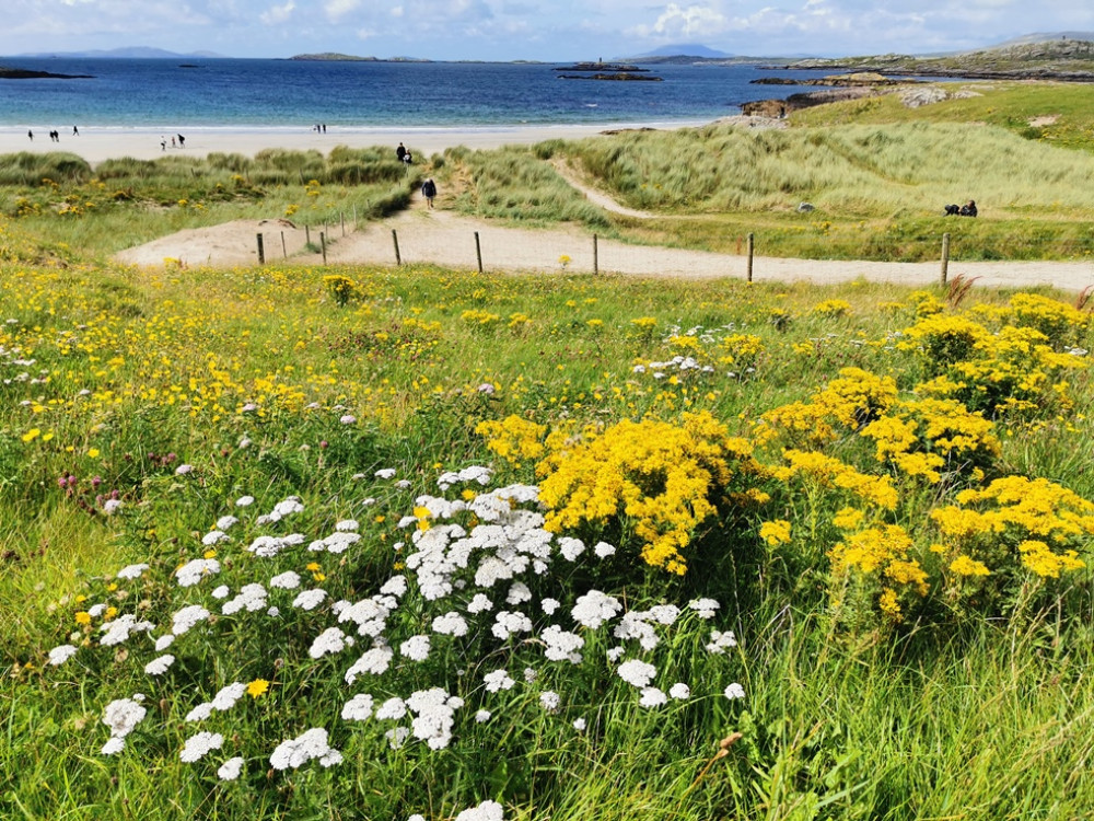 Plage de la côte ouest de l'Irlande