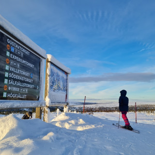 Image pour Les sports d'hiver en Suède