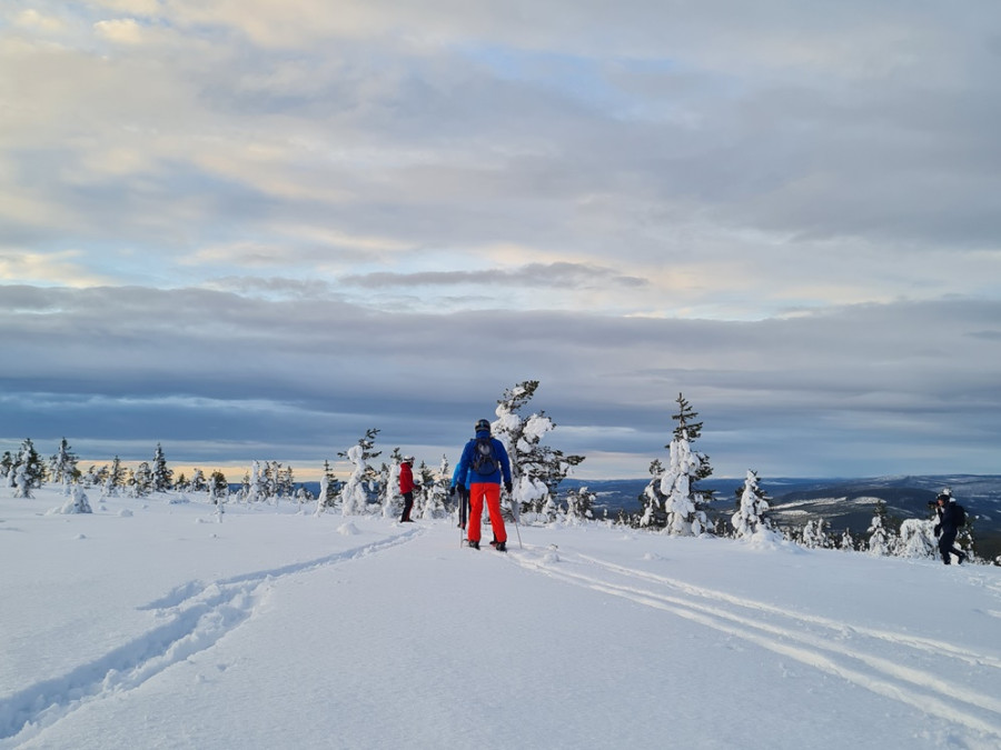 Tracés de pistes de ski de fond