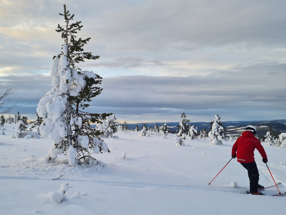 Le ski en Suède