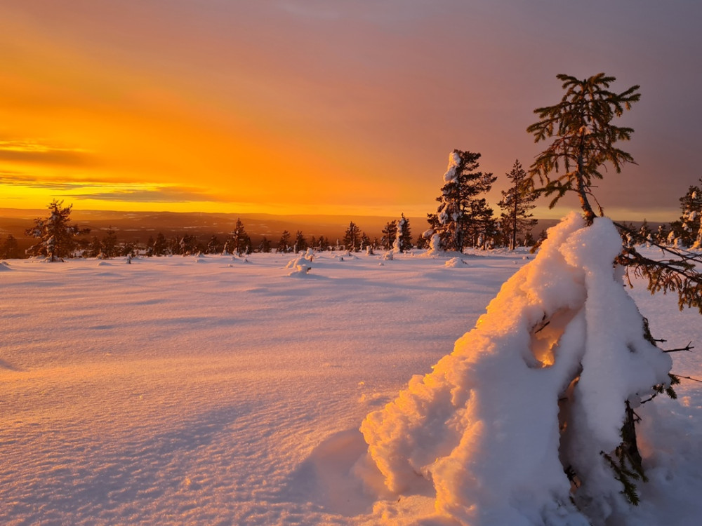 Dalarna en hiver