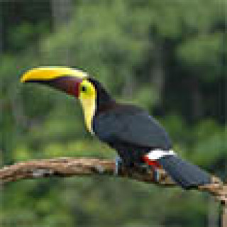 Image pour TUI - Circuits au Costa Rica