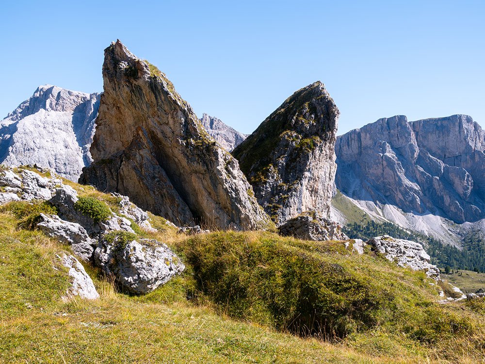 Pieralongia près de Seceda