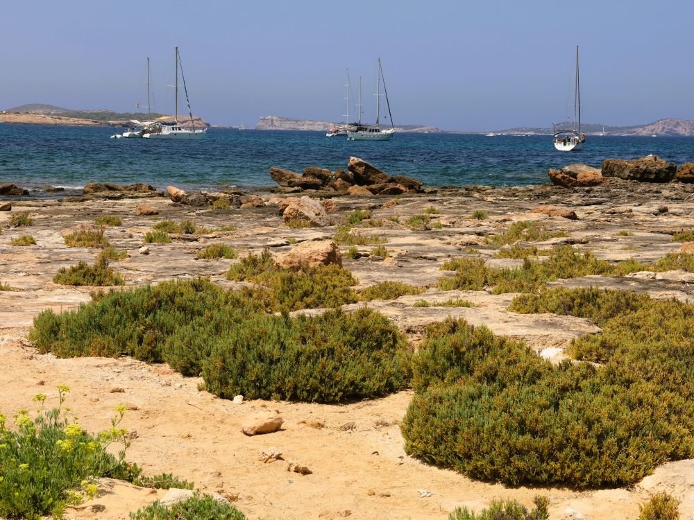Bâteaux autour d'Ibiza