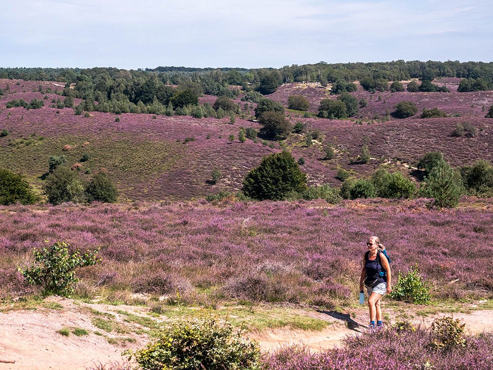 Parcs nationaux des Pays-Bas