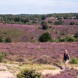 Image pour Parcs nationaux des Pays-Bas