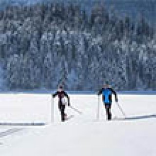 Image pour Get Your Guide - Ski de fond à Rovaniemi